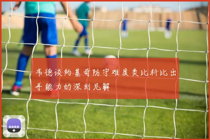 韦德谈约基奇防守难度类比科比出手能力的深刻见解